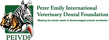 PEIVDF